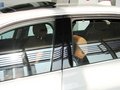宝马3系 2013款 320Li 2.0T AT 豪华型图片