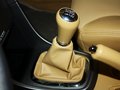瑞虎 瑞虎 1.6DVVT CVT 2012款圖片