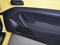 甲殼蟲 甲殼蟲 1.2TSI 時(shí)尚型 2013款圖片