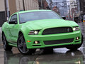 Mustang 2013款 野马图片