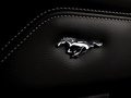 Mustang 2012款 野馬 GT圖片