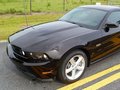 Mustang 2012款 野马 GT图片