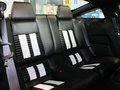 Mustang 野马 GT500 MT 豪华型 2012款图片