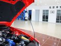 Mustang 野馬 GT500 MT 豪華型 2012款圖片