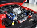 Mustang 野馬 GT500 MT 豪華型 2012款圖片