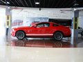 Mustang 野马 GT500 MT 豪华型 2012款图片