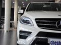 奔驰M级 2012款 ML300图片