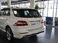 奔馳M級(jí) 2012款 ML300圖片