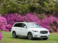 英菲尼迪QX60(进口) 图片