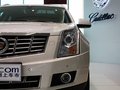 凱迪拉克SRX 凱迪拉克SRX 3.0 AT 舒適型 2013款圖片