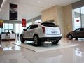 凱迪拉克SRX 凱迪拉克SRX 3.0 AT 舒適型 2013款圖片