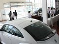 甲壳虫 1.4TSI 舒适型 2013款图片