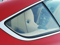 DB9 2013款 DB9圖片