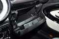 MINI PACEMAN MINI PACEMAN图片