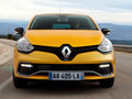 Lutecia 2013款 Clio图片
