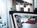 起亚K3 起亚K3 1.6 AT GLS 2012款图片