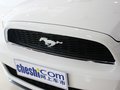 Mustang 野馬 2013款圖片