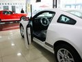 Mustang 野馬 2013款圖片