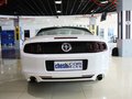 Mustang 野馬 2013款圖片