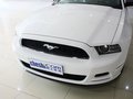 Mustang 野马 2013款图片
