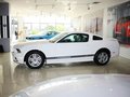 Mustang 野馬 2013款圖片