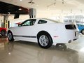 Mustang 野馬 2013款圖片