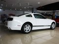 Mustang 野马 2013款图片