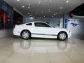 Mustang 野馬 2013款圖片