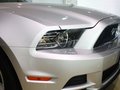 Mustang 野马 2013款图片