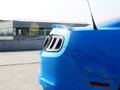 Mustang 野馬 2013款圖片