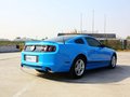 Mustang 野馬 2013款圖片