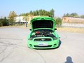 Mustang 野馬 2013款圖片