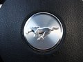 Mustang 野馬 2013款圖片