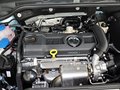 速腾 速腾 1.4T TSI 蓝驱版 2013款图片