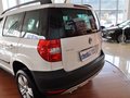 Yeti（进口） 1.8T DCT 尊享版 5座 2013款图片