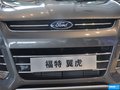 翼虎 图片