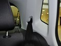 Polo POLO 1.4L MT 舒适版 2013款图片