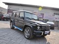 奔驰G级AMG 2013款 奔驰 G65图片