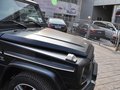 奔馳G級AMG 2013款 奔馳 G65圖片