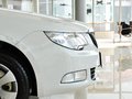 昊锐 昊锐 1.4TSI GreenLine2 2013款图片