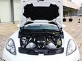 RUF RXL 2013款 RUF如虎 RXL 基本型图片