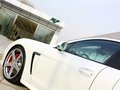 RUF RXL 2013款 RUF如虎 RXL 基本型圖片