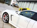 RUF RXL 2013款 RUF如虎 RXL 基本型圖片