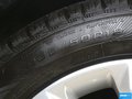 翼虎 图片