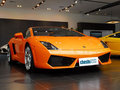 Gallardo 2008款 Gallardo图片