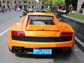 Gallardo 2011款 LP550-2图片