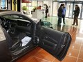 Mustang 野馬GT 5.0 AT V8 2013款圖片