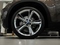 寶馬X5(進(jìn)口) X5 3.0T AT xDrive 35i領(lǐng)先型 2013款圖片