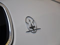 总裁 3.8T 标准型 2013款图片