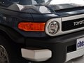 FJ酷路泽 FJ 酷路泽 4.0L AT 2013款图片